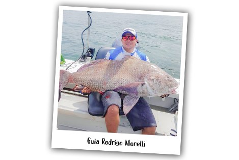 SUGOI Fishing Guides - Rodrigo Morelli 7