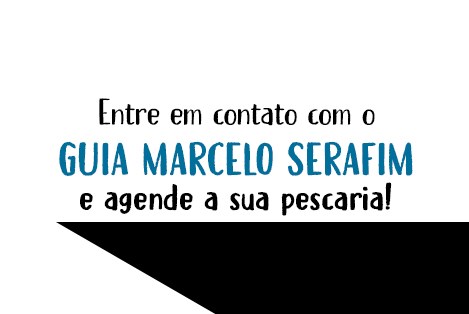 Guia Marcelo Serafim Banner 8