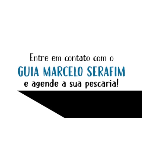 Guia Marcelo Serafim Banner 8