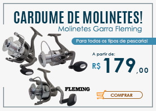 cardume de molinete