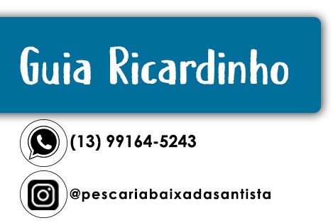 Guia Ricardinho Banner 1