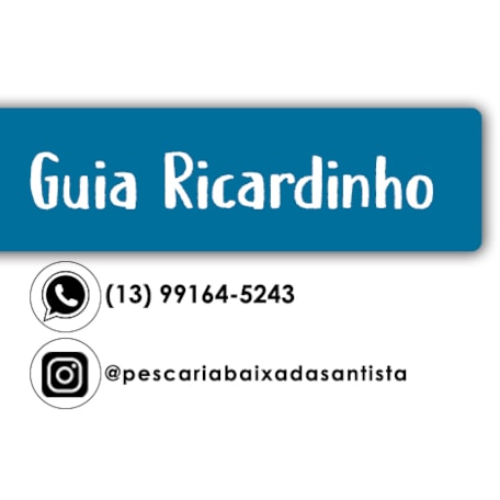 Guia Ricardinho Banner 1