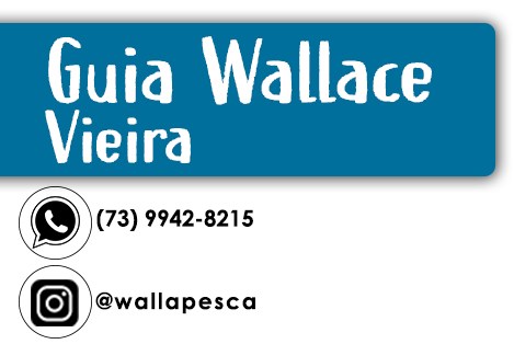 SUGOI Fishing Guides - Wallace Vieira 1