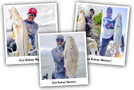 SUGOI Fishing Guides - Rodrigo Monteiro Banner 1