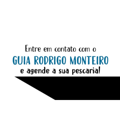 SUGOI Fishing Guides - Rodrigo Monteiro Banner 8 Final