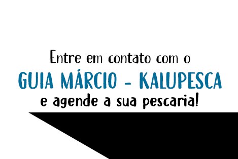 Guia Marcio Kalupesca banner 8 final