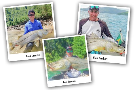 SUGOI Fishing Guides - Lambari 6