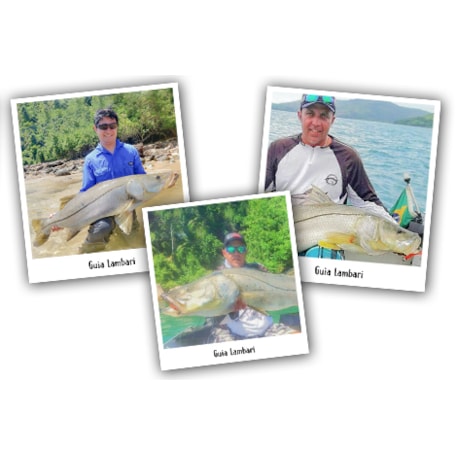 SUGOI Fishing Guides - Lambari 6