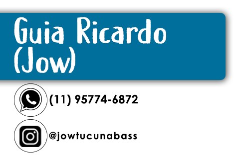 Guia Ricardo Jow Banner 1