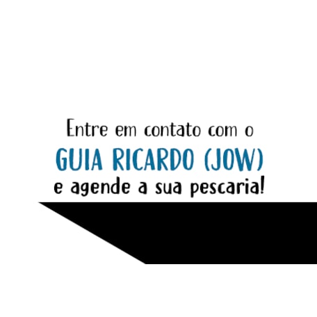 Guia Ricardo Jow Banner 8