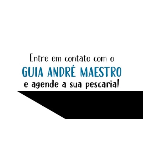 Guia Andre Maestro 8