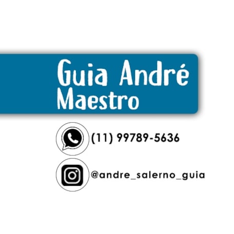 Guia Andre Maestro