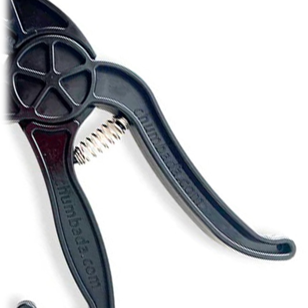 image_02b76b64-a563-4e10-8eb6-0aa9ee1e2646