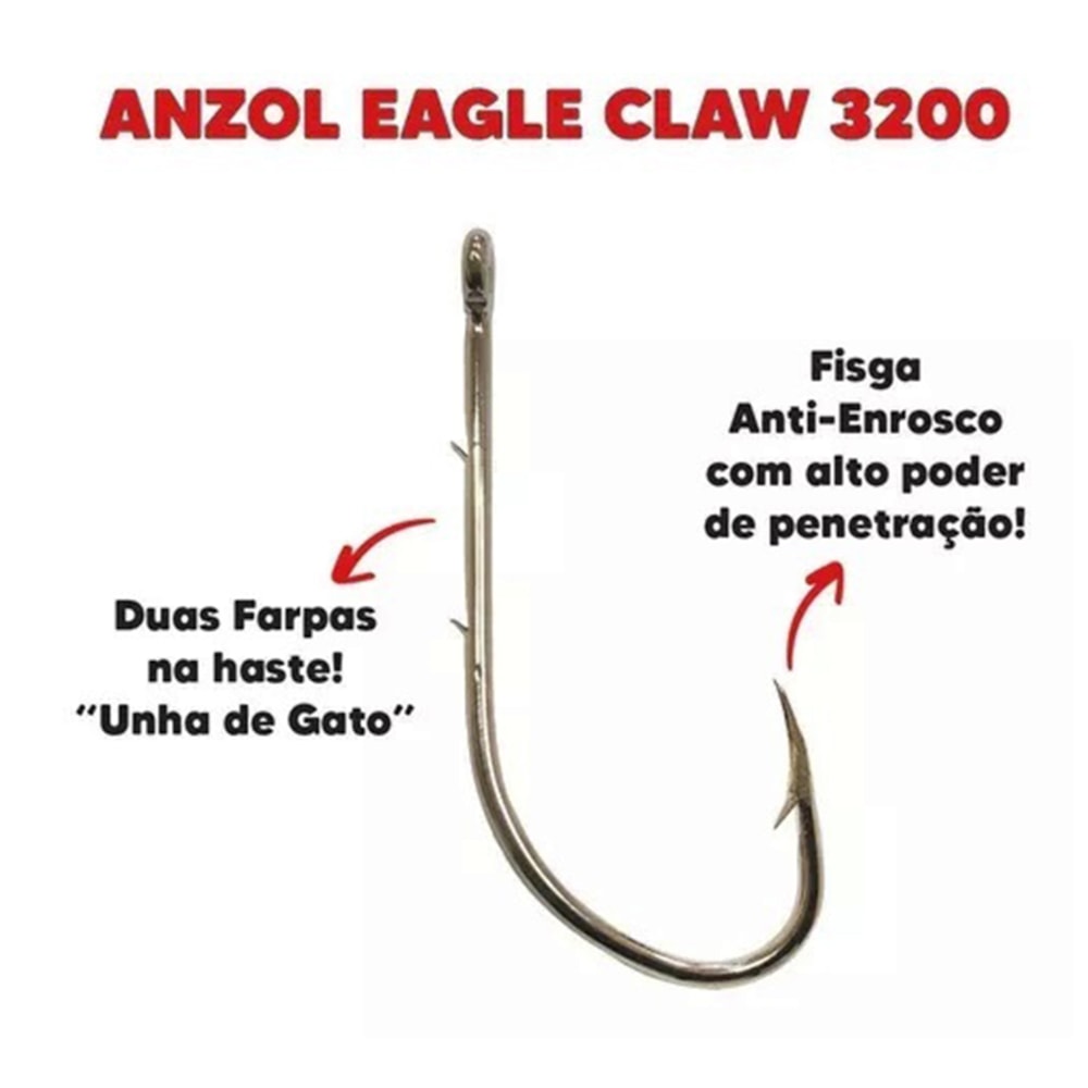 image_7126dd9b-676f-4c21-886d-479e8d75a164