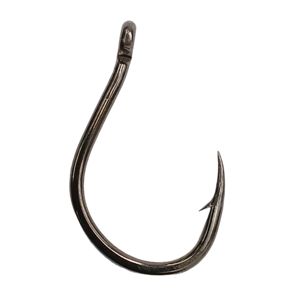 image_804b122e-9106-40f3-8578-632c4fe9361d