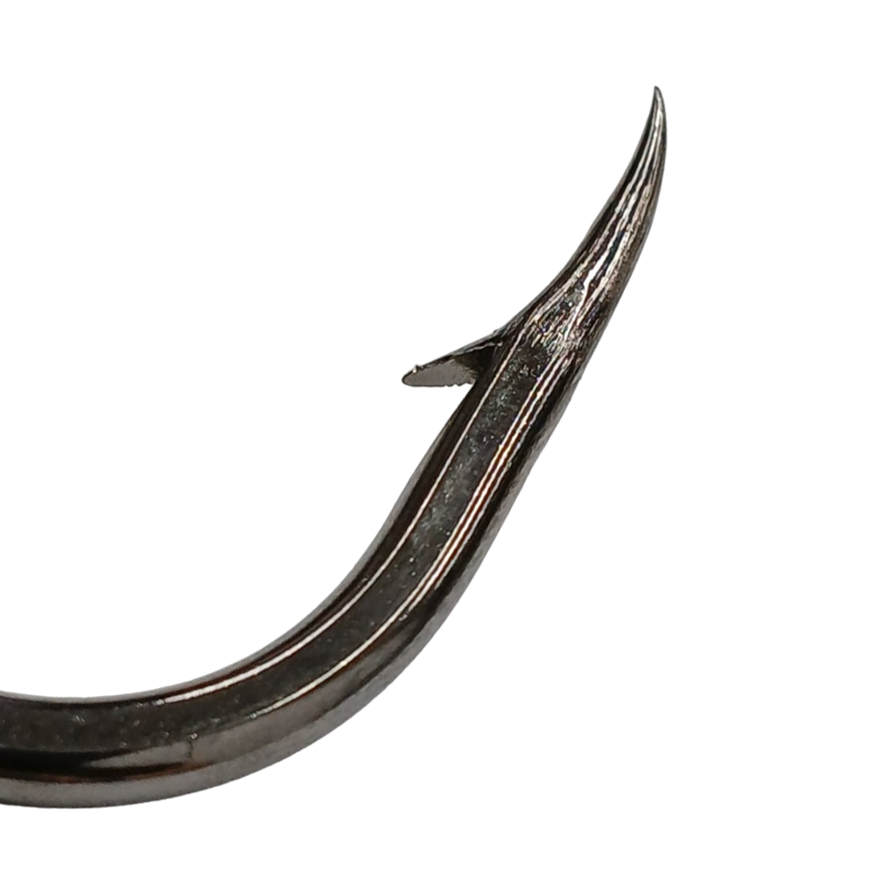 image_e2026730-ddce-4d52-8c00-afc139f750cd