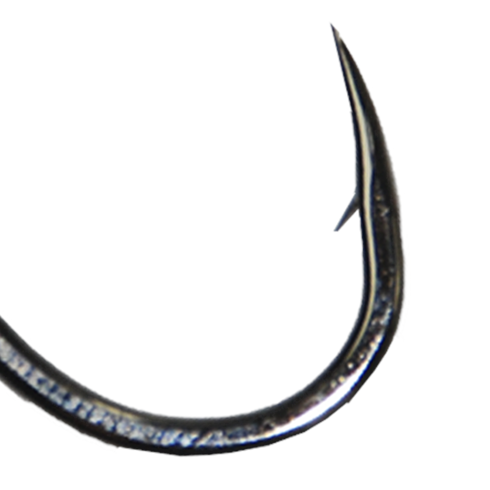 image_228c18cb-92e7-4c80-b2bf-9e9e3abd12b3