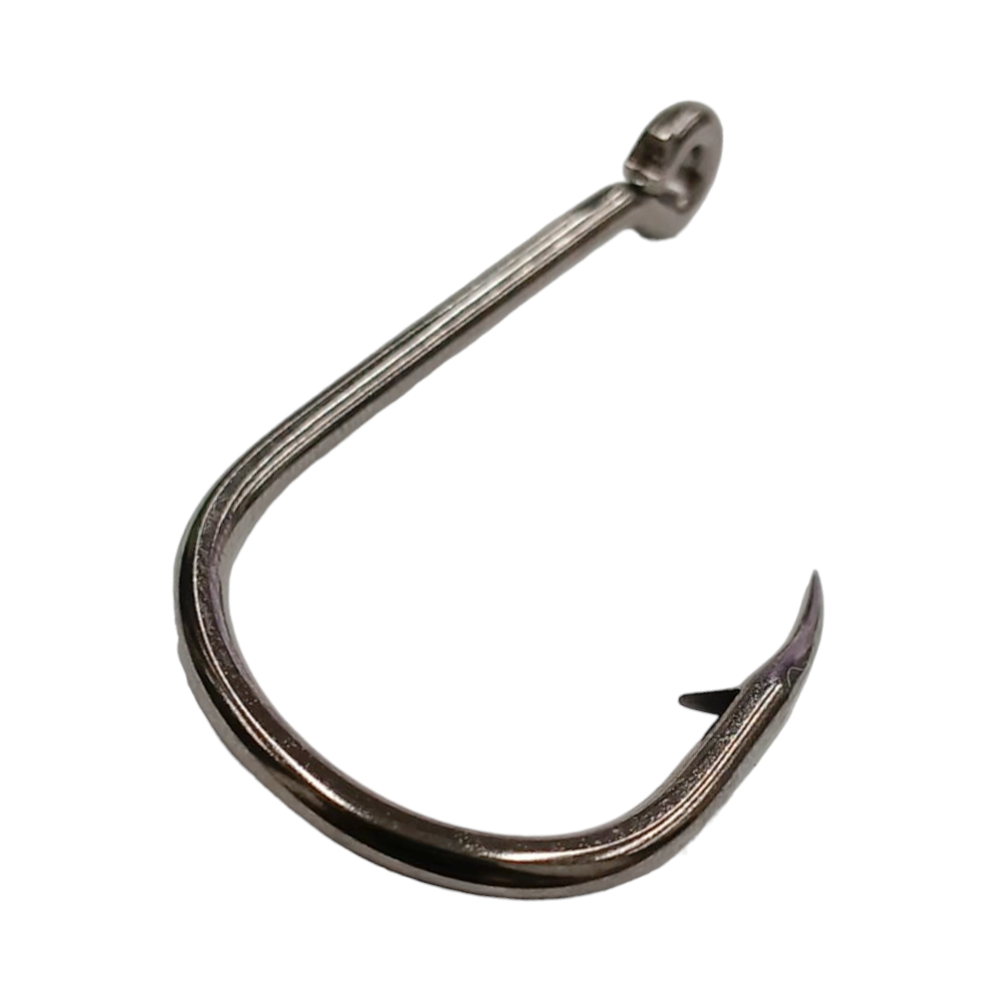 image_877704ec-ccc2-4eb0-87c6-ca32befa4cbd