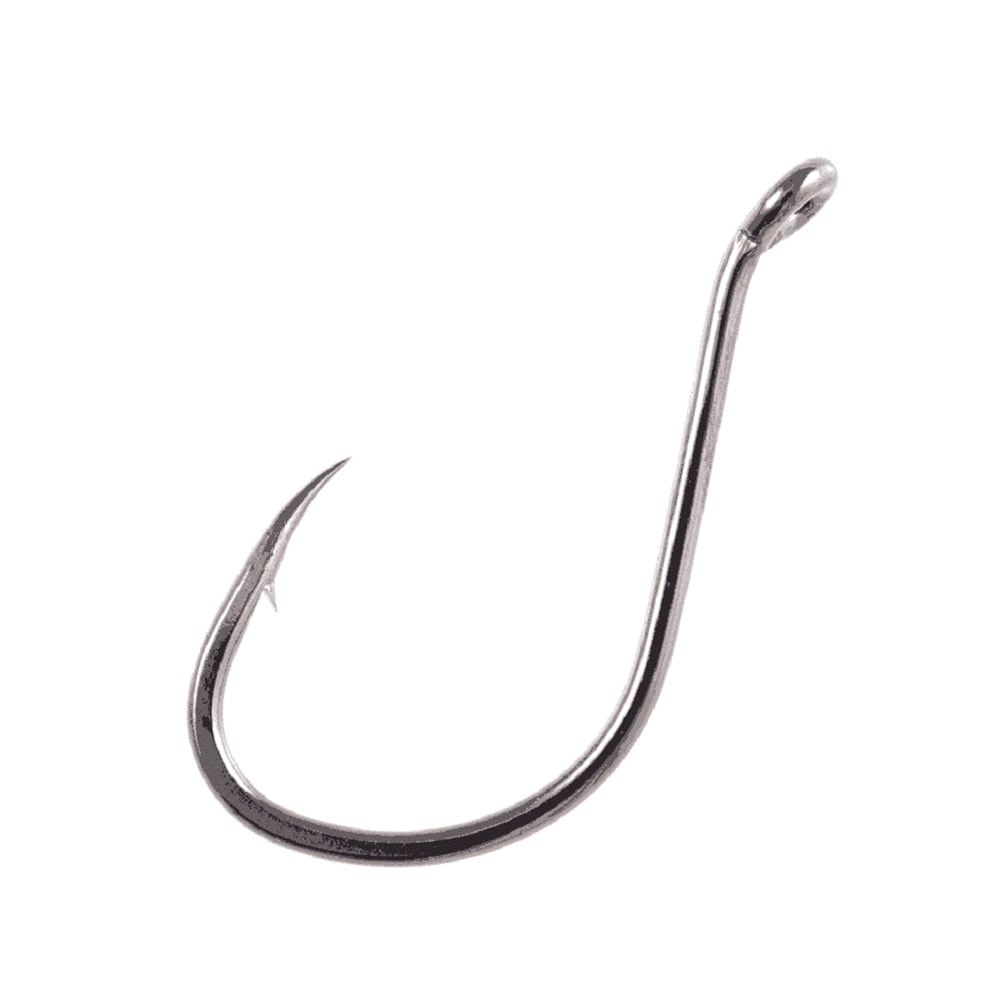 image_8f71f180-4f9e-4589-a2c6-ac65056bef4c