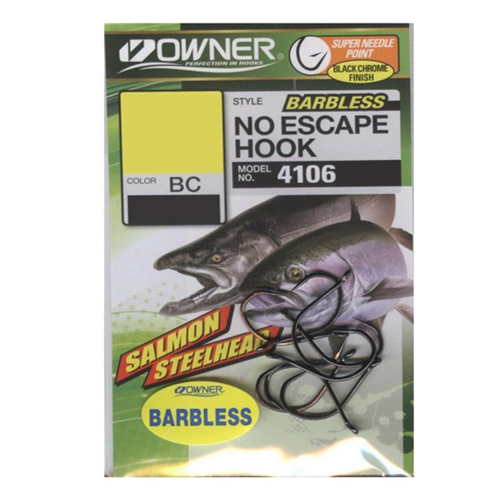 image_1aa53b3c-96d6-4fee-a4f7-246557e8ac57