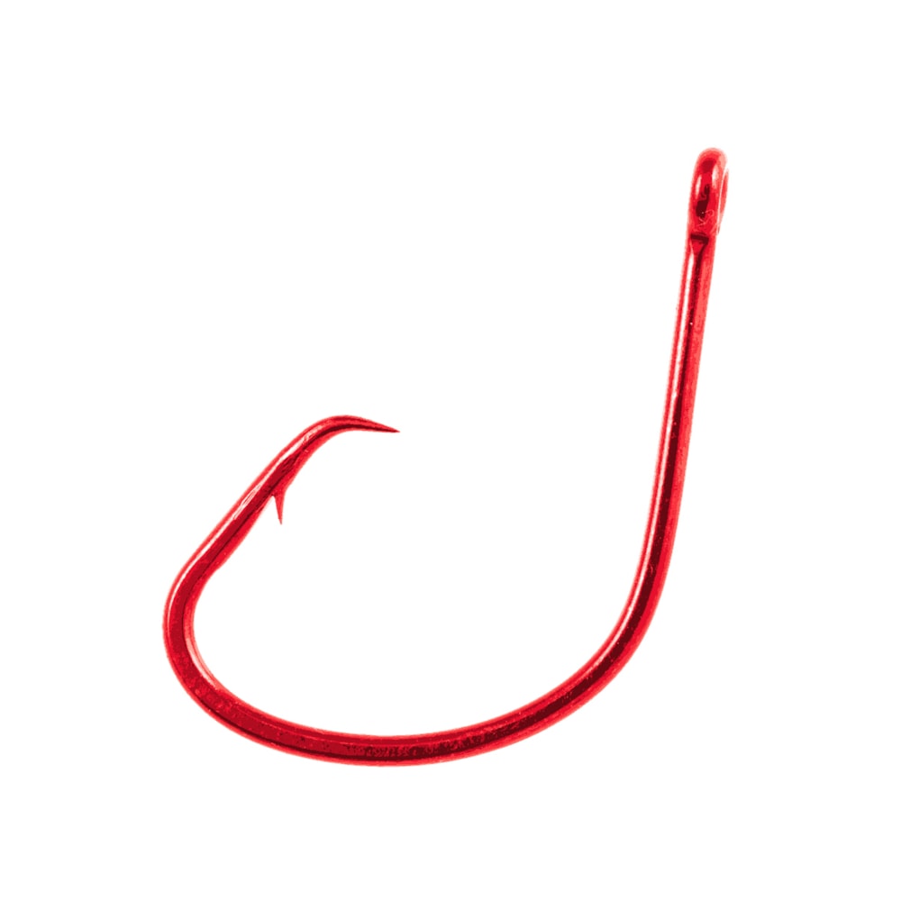 image_4d5c014b-39cf-46cf-87c1-8da77224cd74