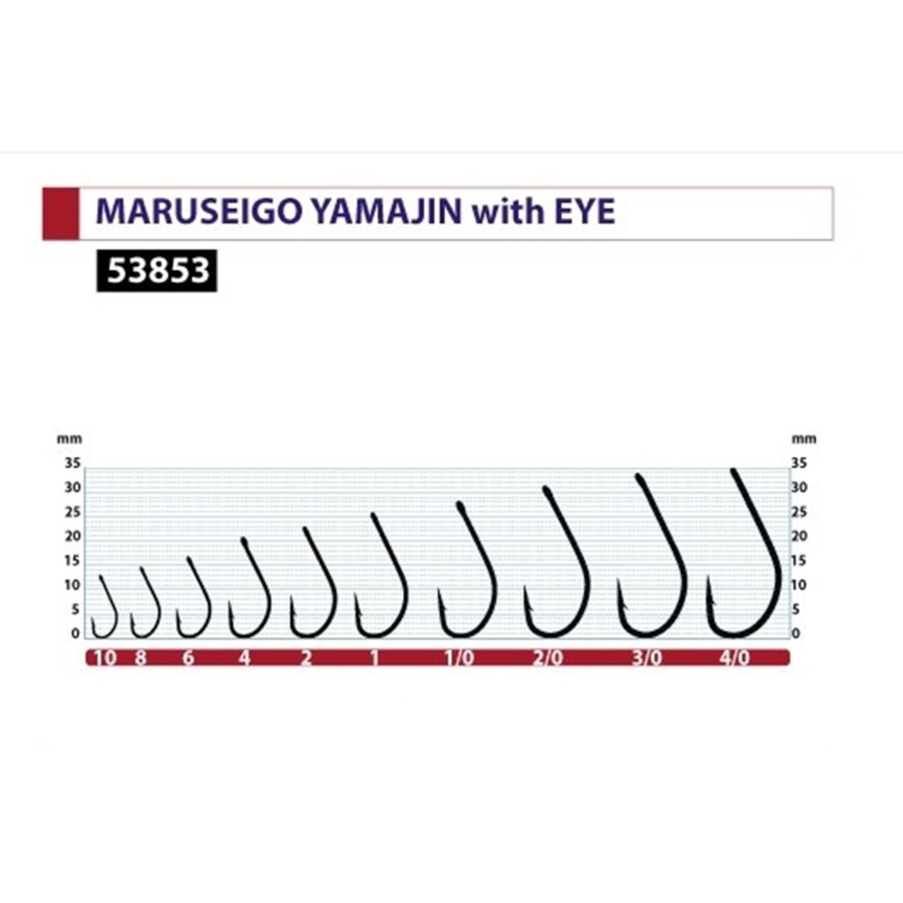 image_e42d7dd3-e237-434d-a575-585ae741b3af