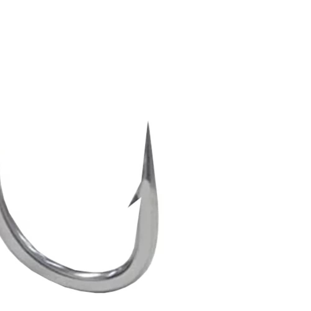 image_ebe143c5-d59e-4f6c-9cb9-8b225746e0ce