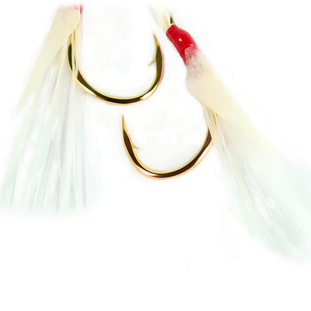 image_62d2fb4a-31d5-4da1-acdb-f5d24a8b4460