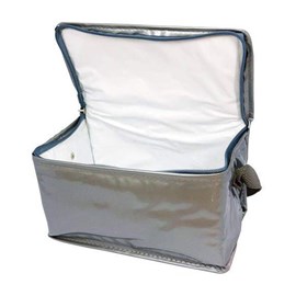 Bolsa Bag Freezer Semi Térmica (3 Litros) CT 603