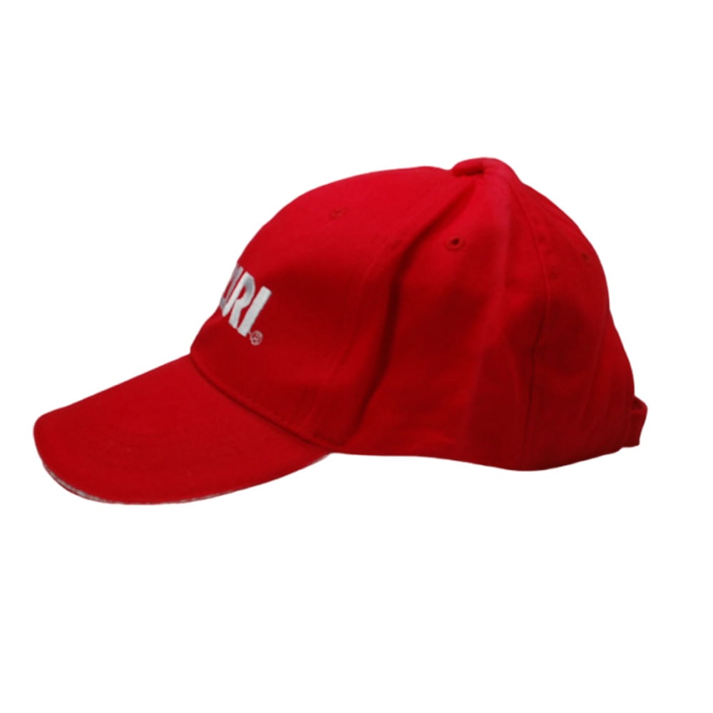 image_e59c4dce-8c8c-4bd5-832a-c9618525a7fe