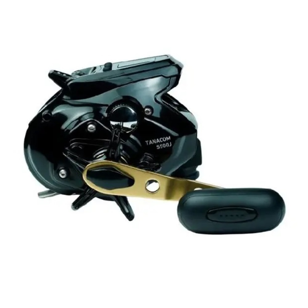 image_c31c95d0-33be-488b-a505-b1c2c08c4520