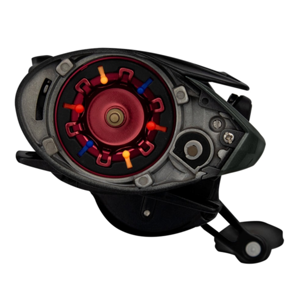 image_d71b968a-91fc-43e6-8777-e11dcbf789ac