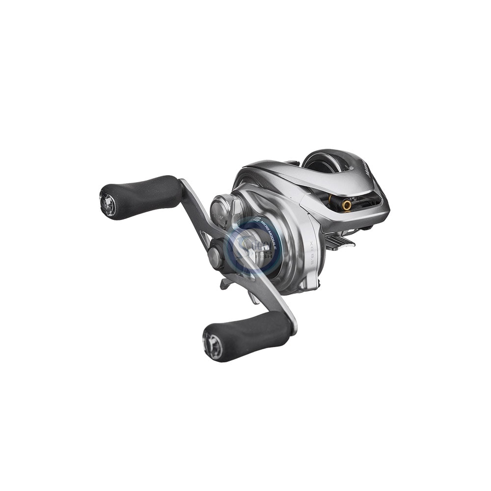 image_79ef7c07-e004-4060-b129-05b13b0f47c3