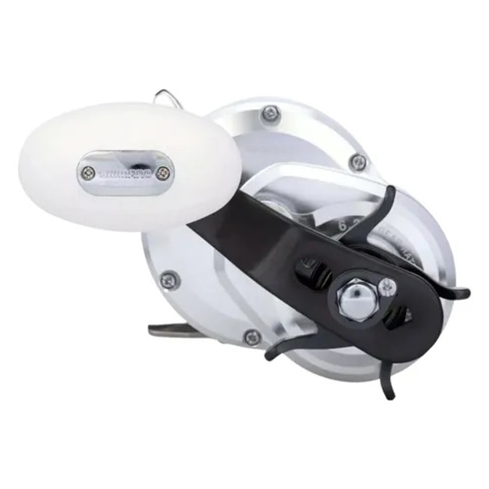 image_574e56fe-563d-4115-816b-69e8371fa4b6