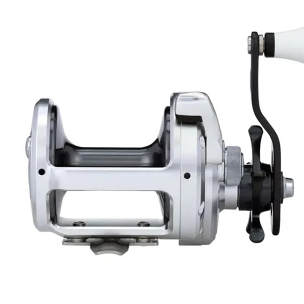 image_8bb80bbd-60ac-4fae-b929-edea981725e6