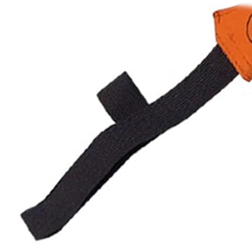 image_b65c691b-af04-4ec9-808e-0958a592ccdf