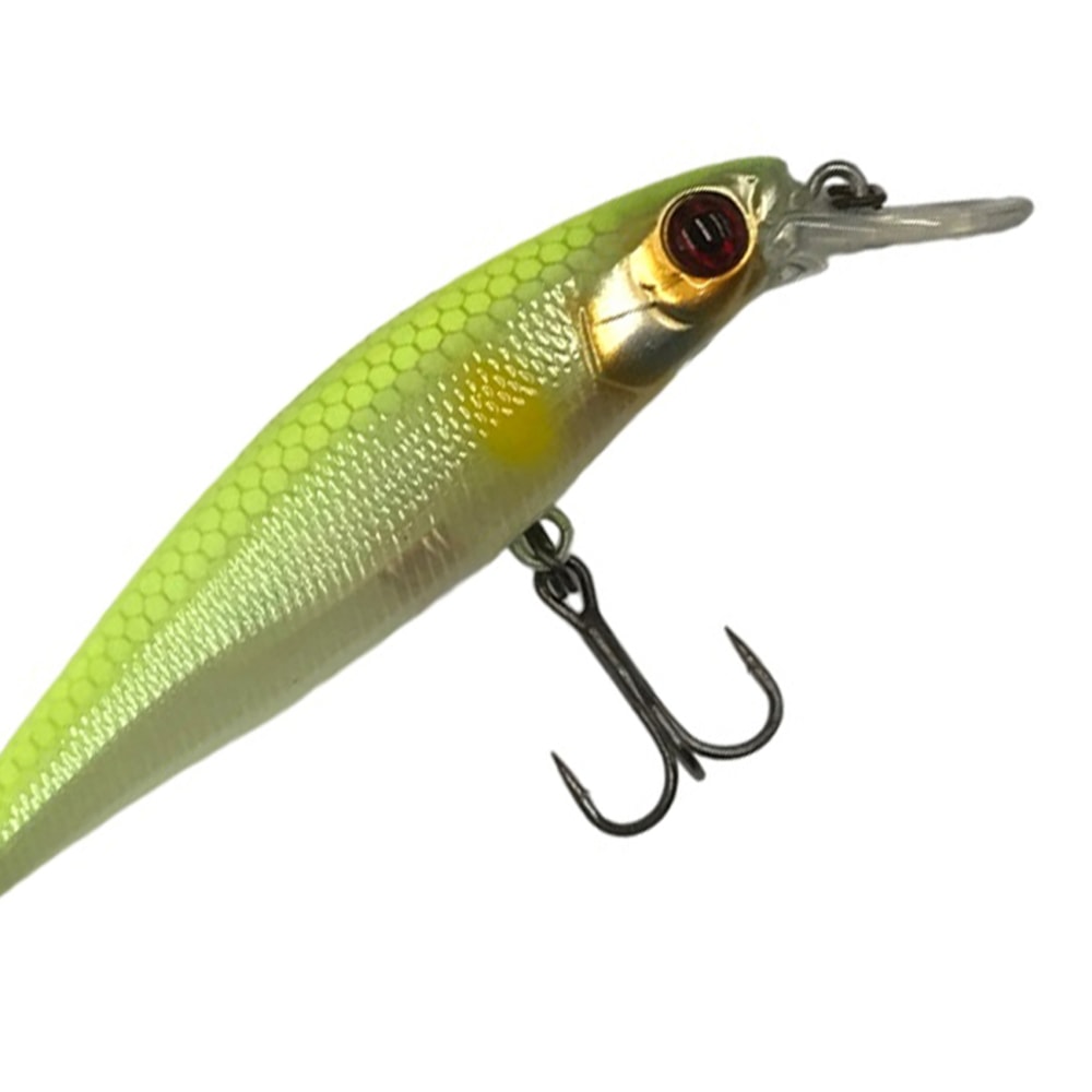 image_55cfbdee-00eb-459a-a3bb-82bf001b2cec