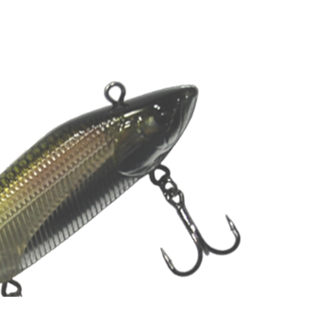 image_70be152c-c31c-444a-b255-e392e75a658d