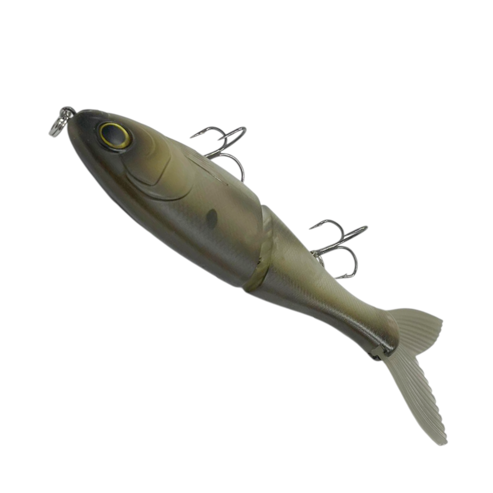 image_8d0c9ef7-3570-48ce-89c3-4b492a34957d