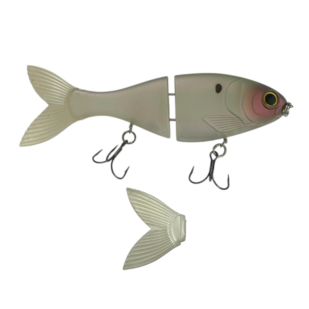 image_548940ad-a565-495a-ab6c-df6cf16ddd37