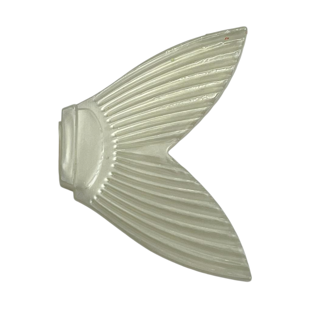 image_f912684a-5a45-48b6-abdb-2fdaf88f9e3e