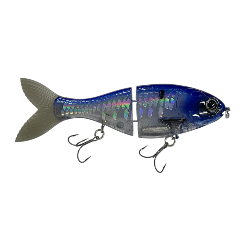 image_e5513e60-43c1-45ff-b16c-f13a56e8fefb