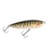 Isca Duo Realis Fangripper 110 BCC3541