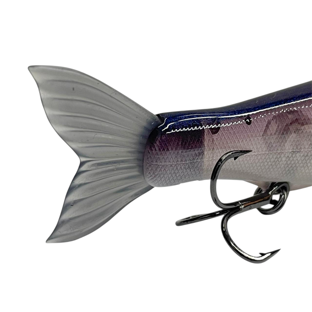 image_11e5a973-3815-4a62-a13d-a0dadb21e4c2