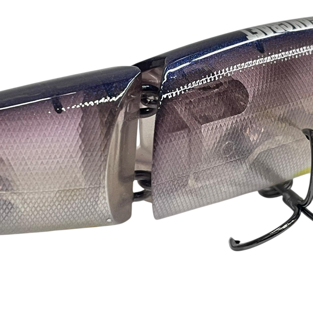 image_ae69529f-c682-4eff-9d2a-806dd141c628