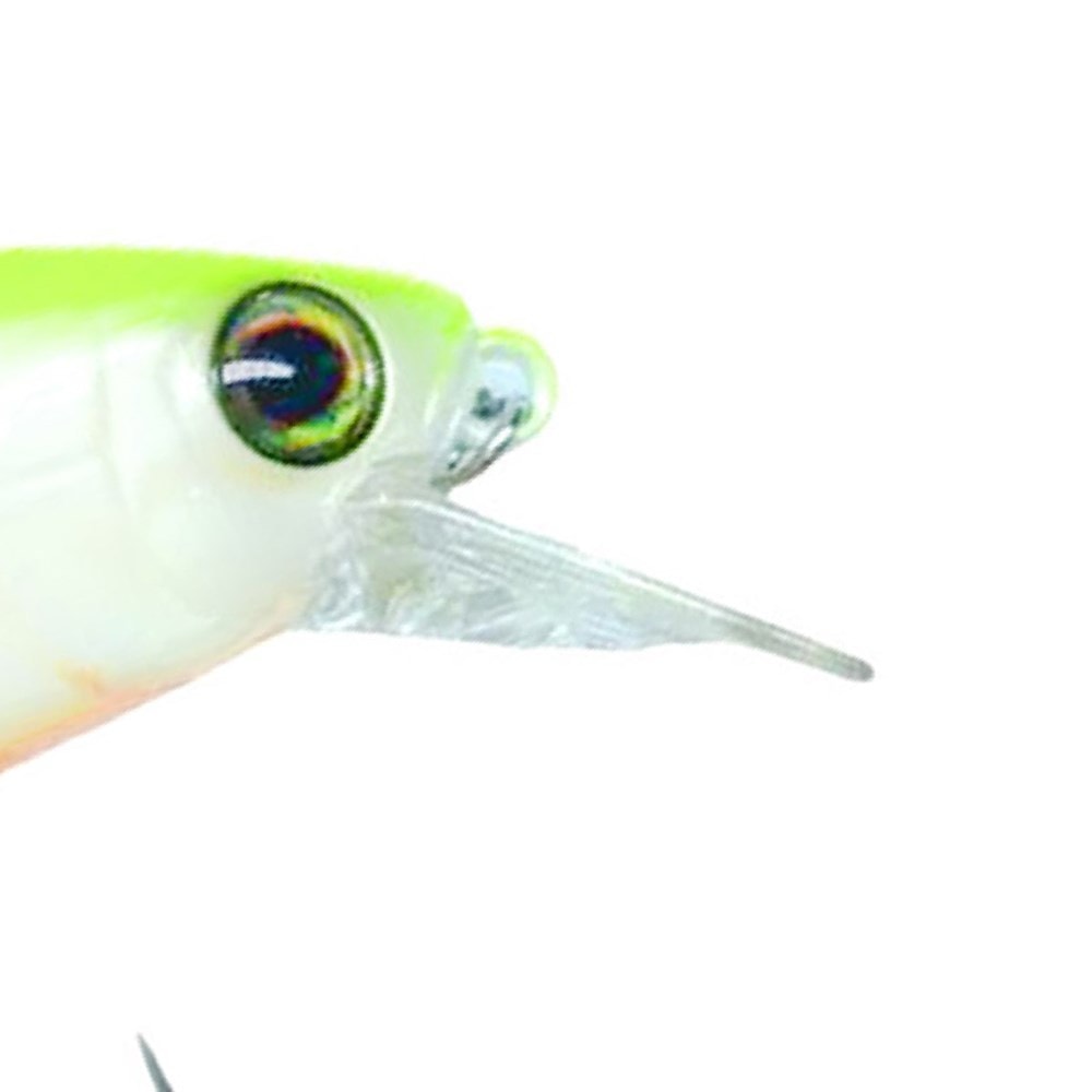 image_588bf8ec-ed5f-49ed-9090-7b96bfec4562