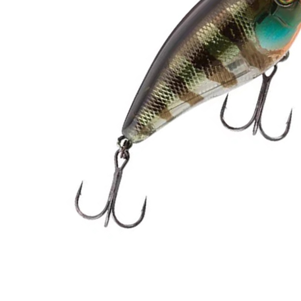 image_27ec9eaa-ad6c-43f5-815a-1c85fe6810c8