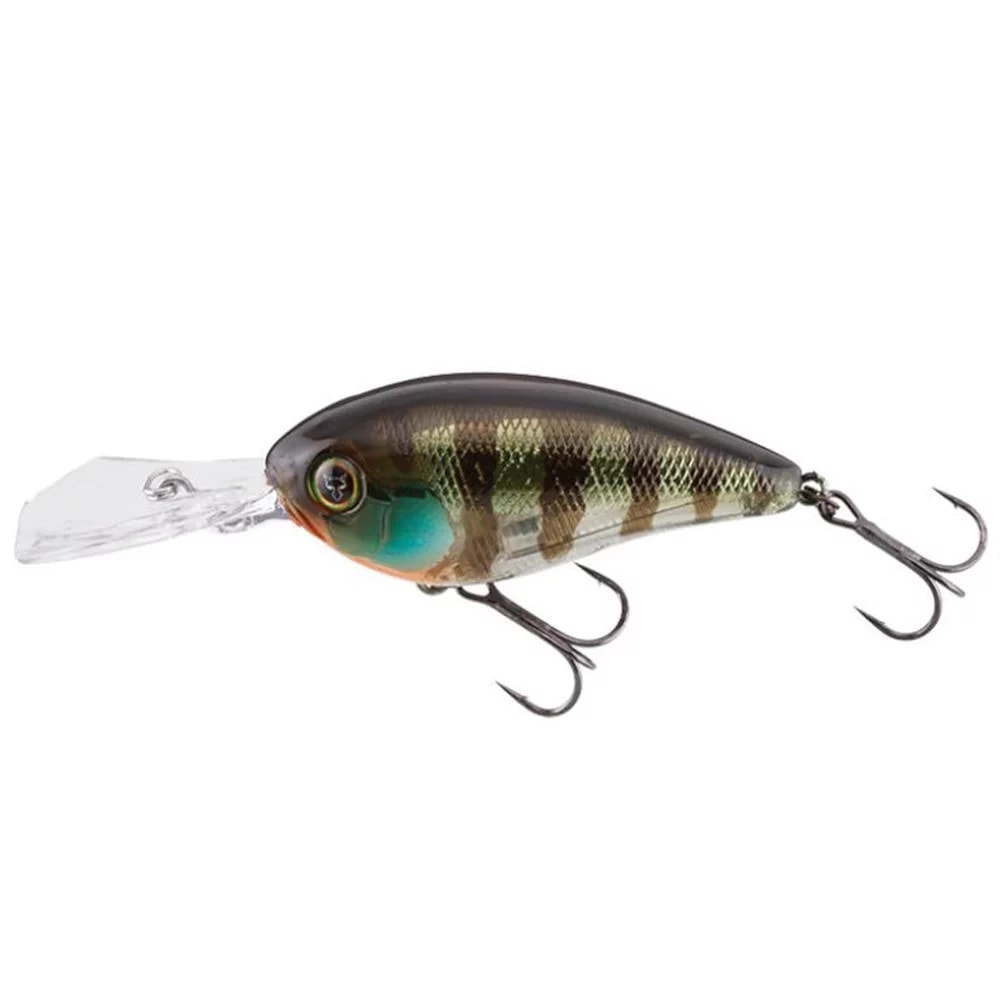 image_2d0a7761-5a44-4a5e-8400-bfa1bb429b95