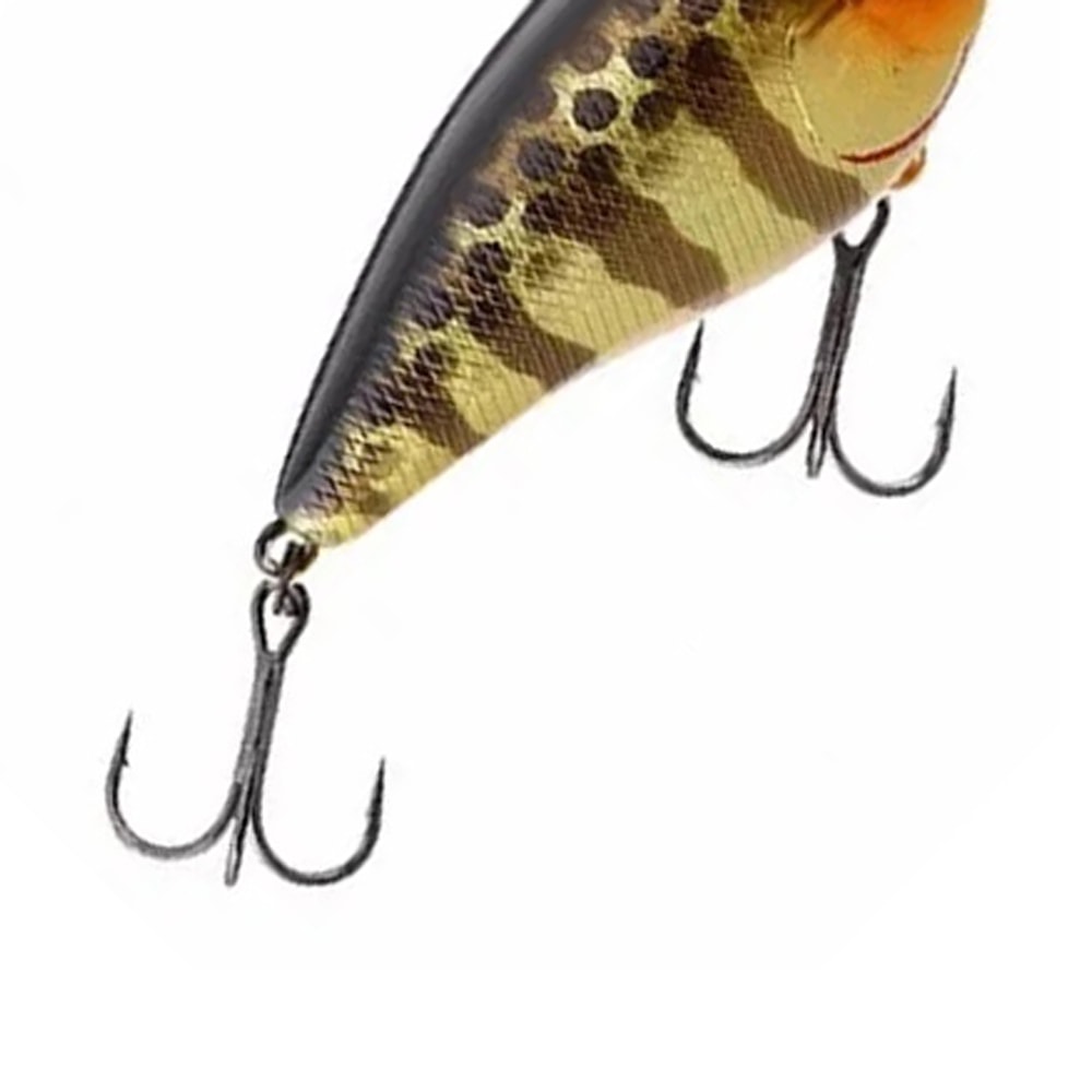 image_f5ca4d73-26bf-48ae-a8a0-241904bdddca