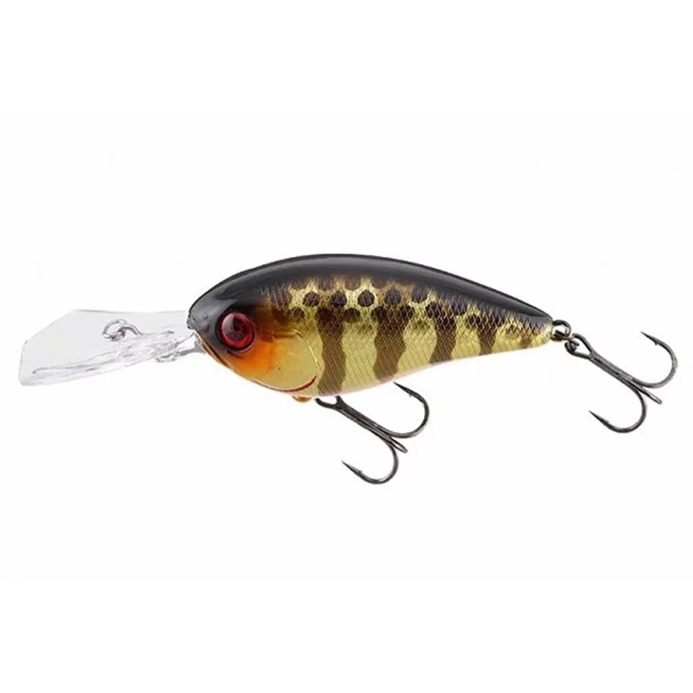 image_bff55242-0bfc-4598-9c38-350455bf29b7